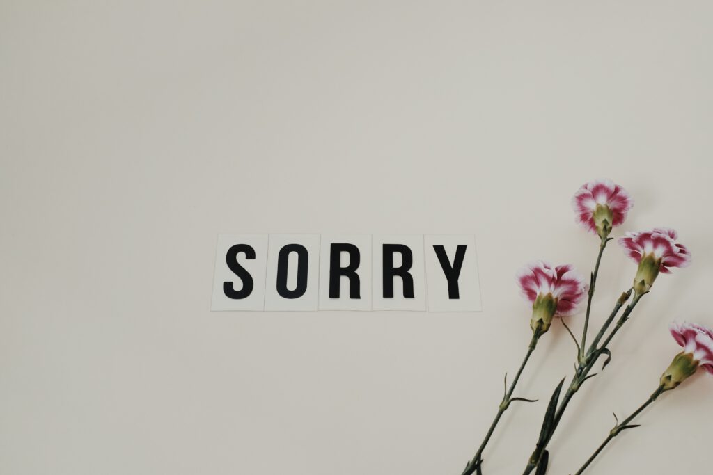 Napis ,,sorry" na białym tle. Obok leżą kwiatki.