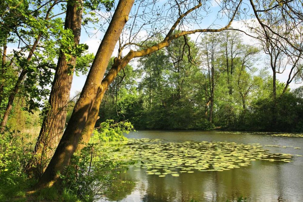 Puławy - prezenty i vouchery prezentowe Park Czartoryskich w Puławach